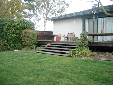 Lawn