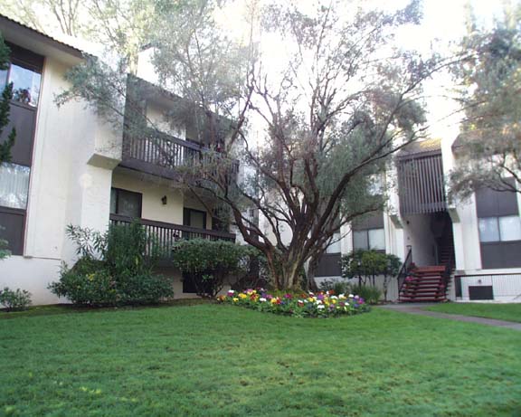 226 Edith Avenue #23, Los Altos