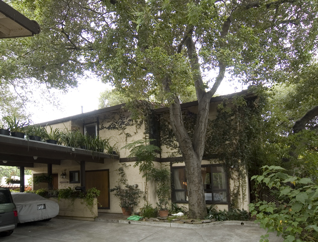 Picture of 330 Bryant St, Unit B