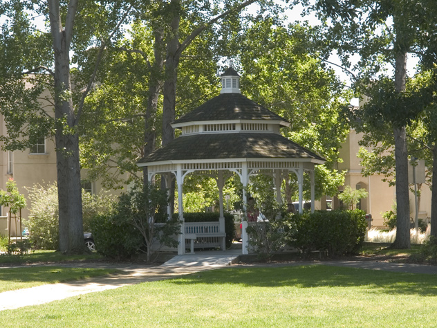 Gazebo Picture - 151 Pacchetti Way, Mountain View 94040 Gazebo picture - 151 Pacchetti Way, Mountain View 94040