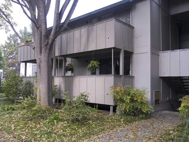 Picture of 2466 W Bayshore Rd, Unit 3