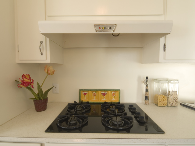 Kitchen Stove  picture - 1014 16th Ave, Redwood City 94063