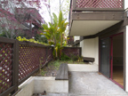 Back Patio