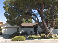Cupertino Real Estate - 19937 Pear Tree Lane