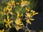 1437 S Wolfe Rd, Sunnyvale 94087 - Plant 