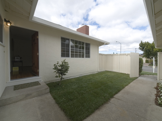 Courtyard  picture - 1016 Tulip Dr, Sunnyvale 94086