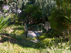 Garden Bridgeb 