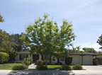 575 Madison Way, Palo Alto 94303 - Madison Way 575 