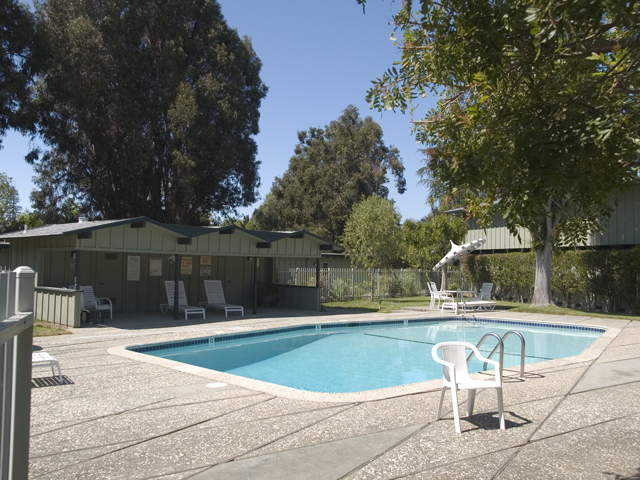 Pool  picture - 278 Monroe Dr 17, Mountain View 94040