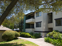 Palo Alto Real Estate - 777 San Antonio Road, Unit 17