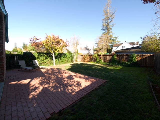 Backyard  picture - 2951 South Court, Palo Alto 94306