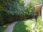 Side Yard 