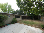 Side Yard 