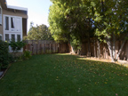 1305 Miravalle Ave, Los Altos 94024 - Sideyard 