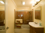 Master Bath1