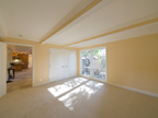 more photos