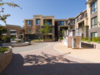 19503 Stevens Creek Blvd 336, Cupertino 95014 - Courtyard (A)