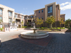 19503 Stevens Creek Blvd 336, Cupertino 95014 - Courtyard (B)