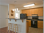 19503 Stevens Creek Blvd 336, Cupertino 95014 - Kitchen Bar (B)