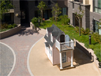 19503 Stevens Creek Blvd 336, Cupertino 95014 - Play House 