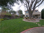 871 Sycamore Dr, Palo Alto 94303 - Backyard 