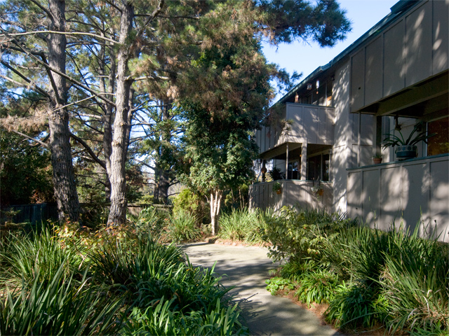 W Bayshore Rd 2450 2b Picture - 2450 W Bayshore Rd 2, Palo Alto 94303 W Bayshore Rd 2450 2b picture - 2450 W Bayshore Rd 2, Palo Alto 94303