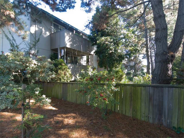 W Bayshore Rd 2450 2c Picture - 2450 W Bayshore Rd 2, Palo Alto 94303 W Bayshore Rd 2450 2c picture - 2450 W Bayshore Rd 2, Palo Alto 94303