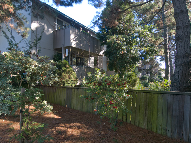 W Bayshore Rd 2450 2d Picture - 2450 W Bayshore Rd 2, Palo Alto 94303 W Bayshore Rd 2450 2d picture - 2450 W Bayshore Rd 2, Palo Alto 94303