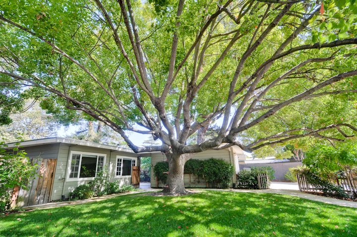 Front picture - 619 Alger Dr, Palo Alto 94306