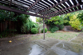 1213 Boynton Ave, San Jose 95117 - Back Yard (A)