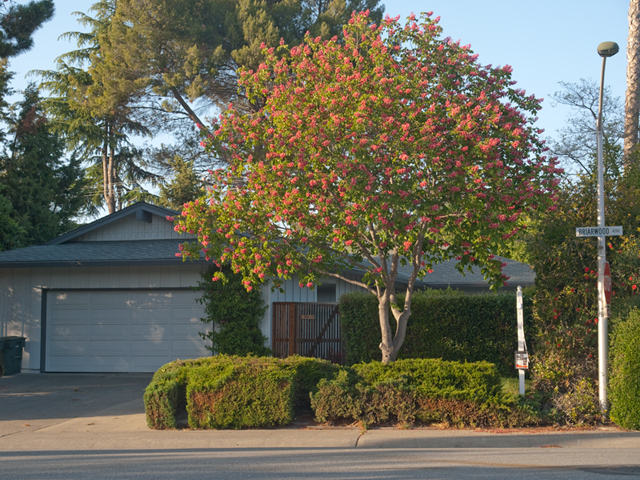4191 Briarwood Way, Palo Alto - Home For Sale