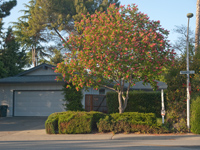 Palo Alto Real Estate - 4191 Briarwood Way