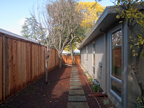 Sideyard