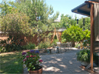 Back Patio