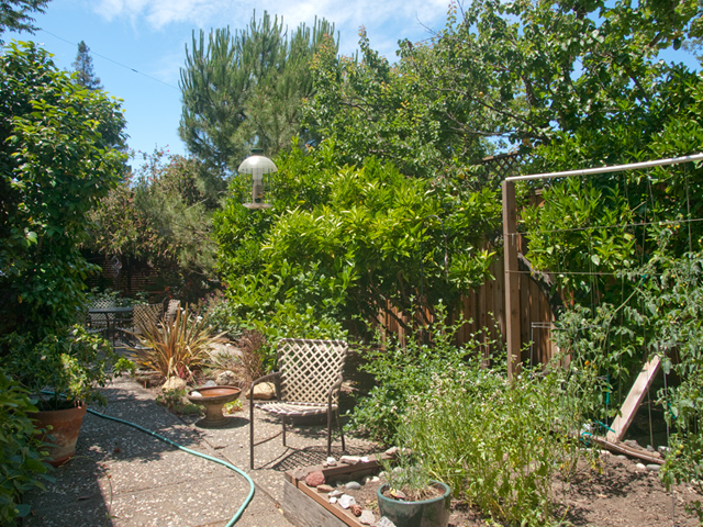 Side Yard picture - 930 Los Robles Ave, Palo Alto 94306