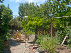 Side Yard