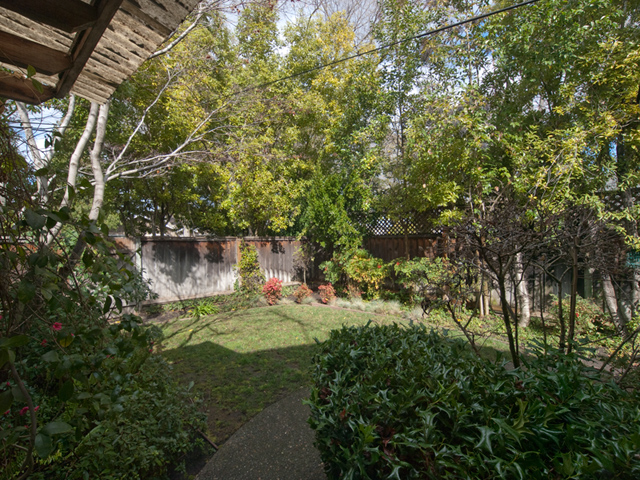 Backyard picture - 3059 Louis Rd, Palo Alto 94303