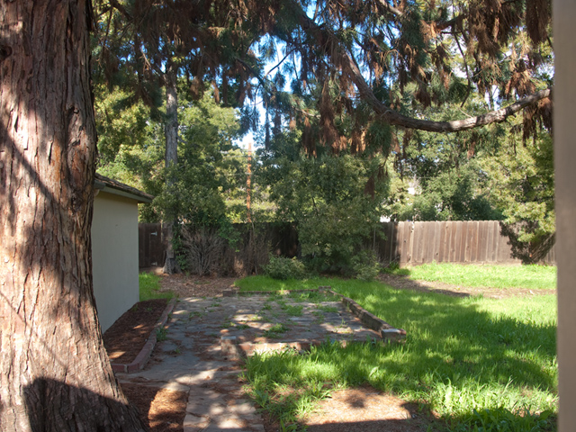 Backyard  picture - 1519 Mariposa Ave, Palo Alto 94306