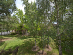 125 Ortega Ave, Mountain View 94040 - Balcony View (B)