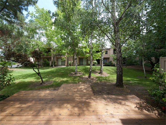 Patio Picture - 125 Ortega Ave, Mountain View 94040 Patio picture - 125 Ortega Ave, Mountain View 94040