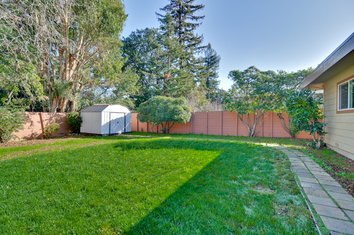 Back Yard picture - 4235 Ruthelma Ave, Palo Alto 94306