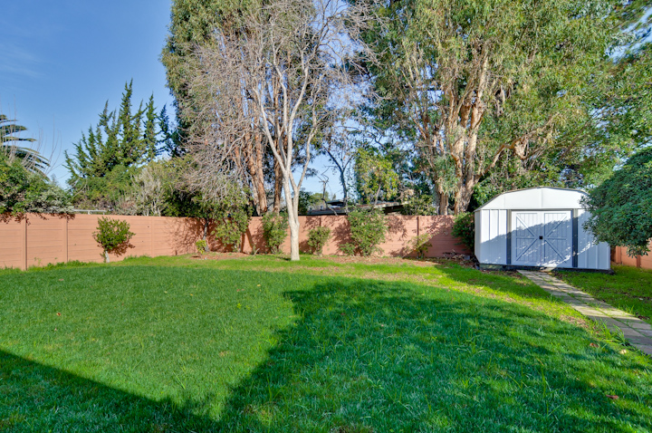 Back Yard picture - 4235 Ruthelma Ave, Palo Alto 94306