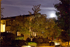 Palo Alto Real Estate - 765 San Antonio Rd