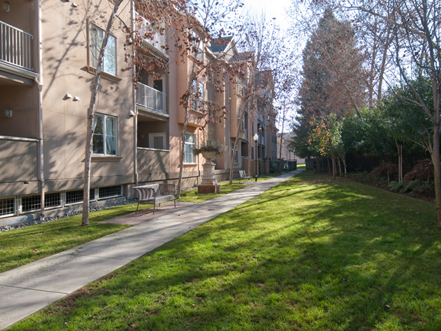 Open Space  picture - 2255 Showers Dr 341, Mountain View 94040