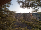 49 Showers Dr W302, Mountain View 94040 - Balcony View 