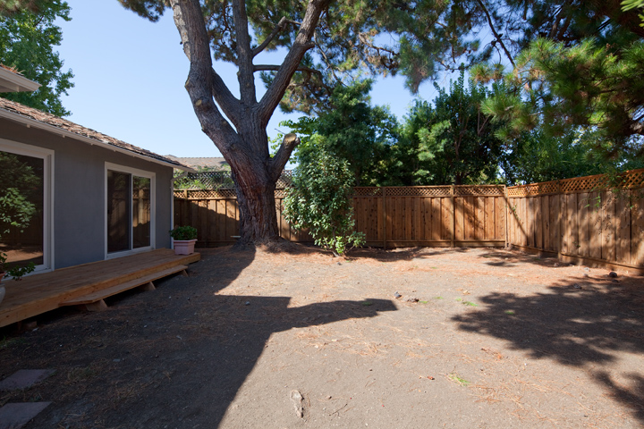 Backyard (A) Picture - 1032 Cuesta Dr, Mountain View 94040 Backyard (A) picture - 1032 Cuesta Dr, Mountain View 94040