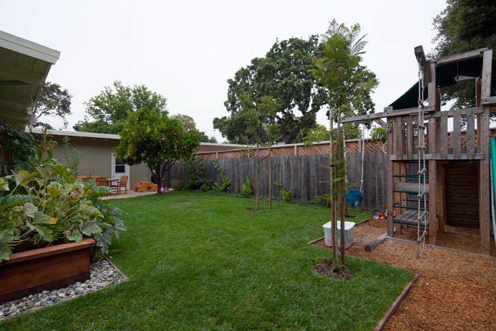 Backyard (B) Picture - 72 Lorelei Ln, Menlo Park 94025 Backyard (B) picture - 72 Lorelei Ln, Menlo Park 94025