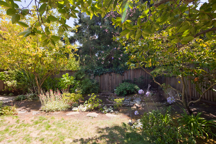 Backyard picture - 3310 Louis Rd, Palo Alto 94303