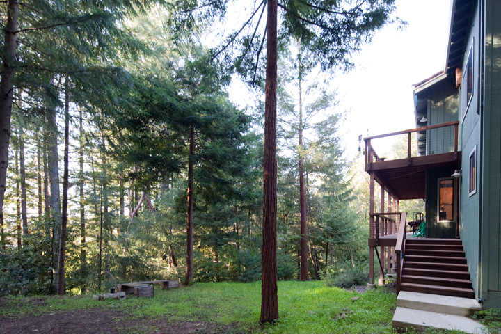 Back Yard  picture - 386 Spring Hollow, Los Gatos 95033