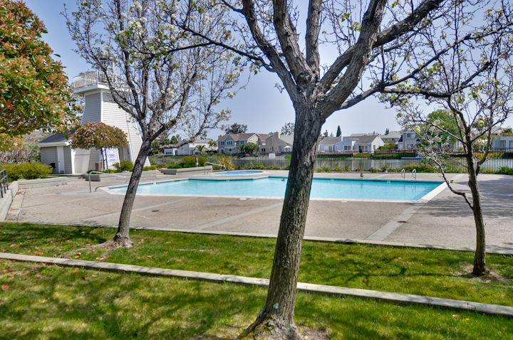 Community (C) Picture - 317 Starfish Ln, Redwood Shores 94065 Community (C) picture - 317 Starfish Ln, Redwood Shores 94065